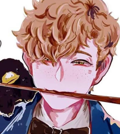 ⋆˙✧Newt Scamander⊹